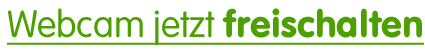 Webcam freischalten