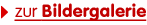 zur Bildergalerie